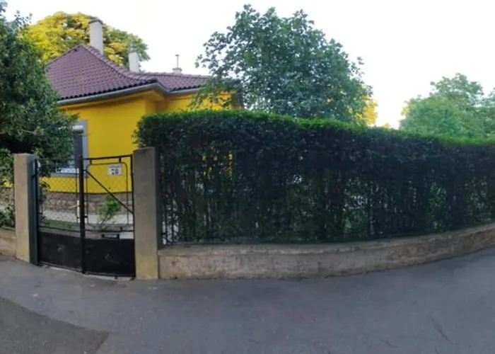 Marion * Кестхей